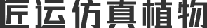 深知生物科技有限公司 logo